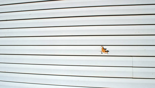 Best Insulated Siding Installation  in Roseland, NJ