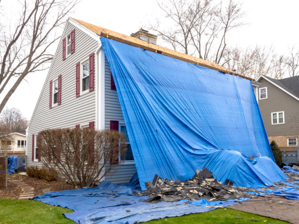 Affordable siding repair and maintenance services in Roseland, NJ