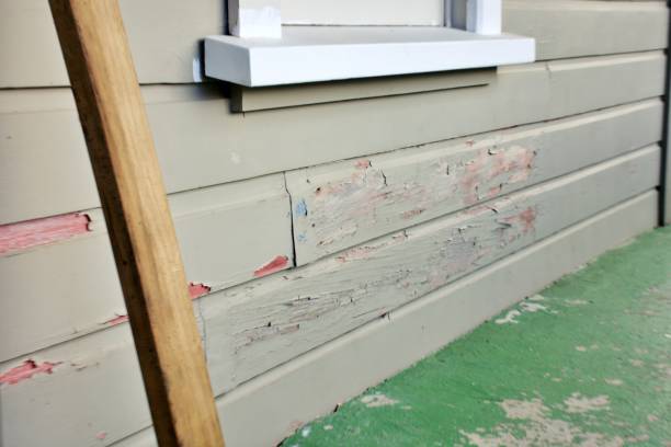 Best Stone Veneer Siding  in Roseland, NJ